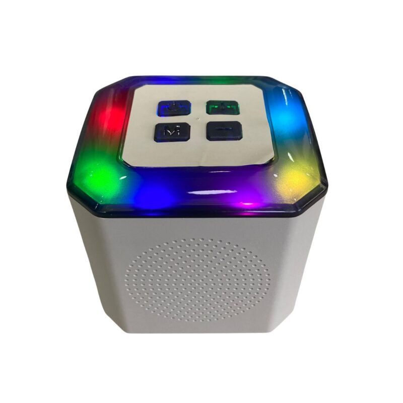 Parlante Mini Karaoke RGB con 2 microfonos - Y1