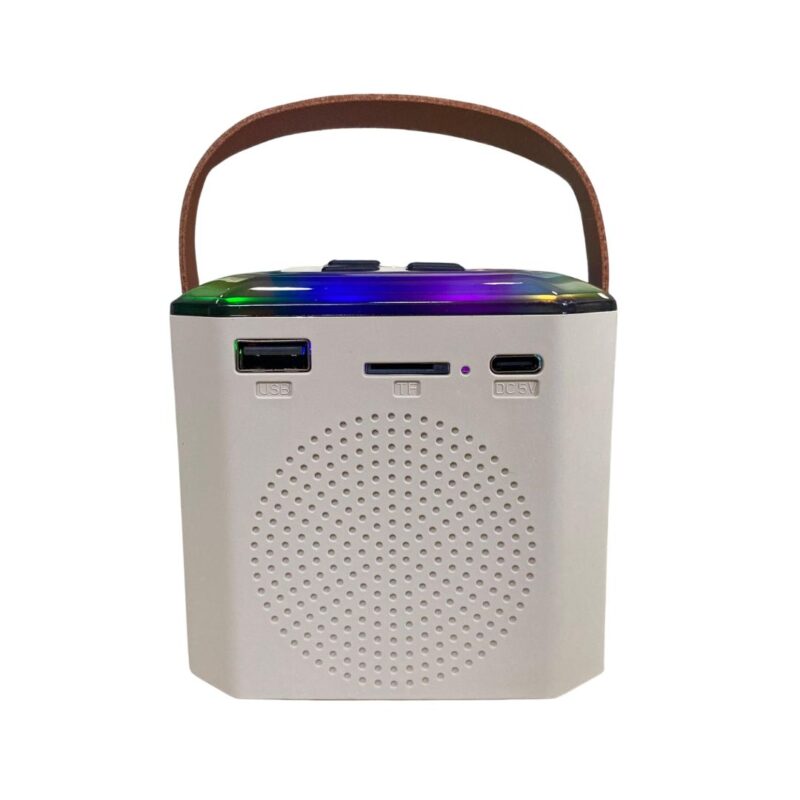 Parlante Mini Karaoke RGB con 2 microfonos - Y1